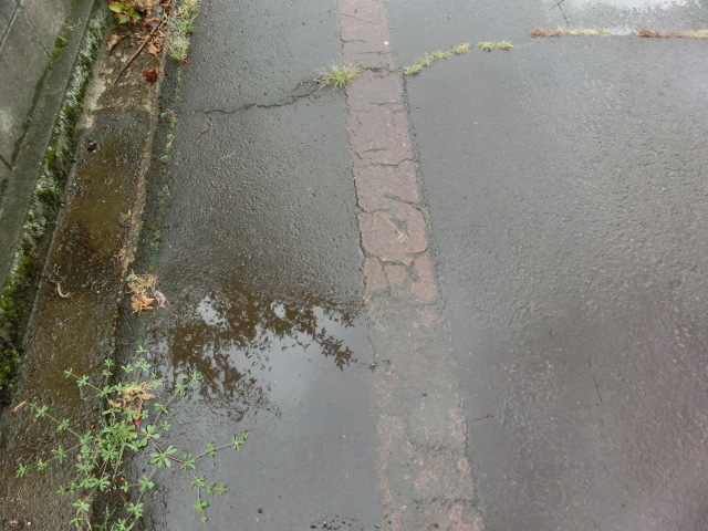 a0203003_09195298.jpg