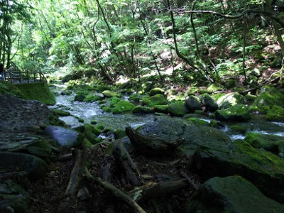 b0040606_11321178.jpg