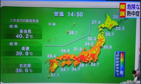 f0231709_16162978.gif