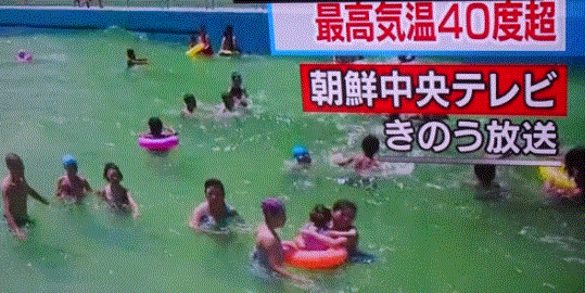 f0231709_16191405.gif