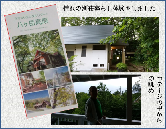 a0185010_15262213.png