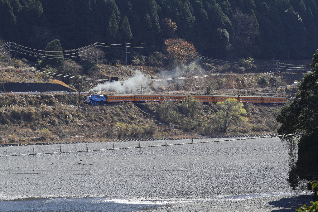 白く光る河原に青いトーマスくん&オレンジ色の客車 - 大井川・2017年 -_b0190710_21382123.jpg