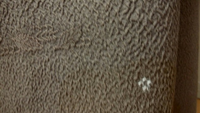 b0035611_20051538.jpg