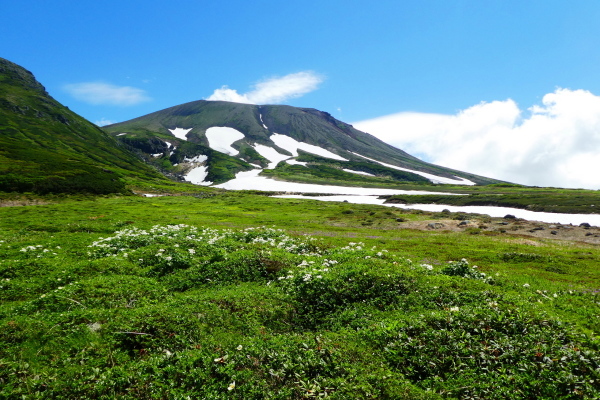 ＊＊＊＊＊ 日本百名山　旭岳周回コース　下山編 ＊＊＊＊＊_d0170615_17051245.jpg