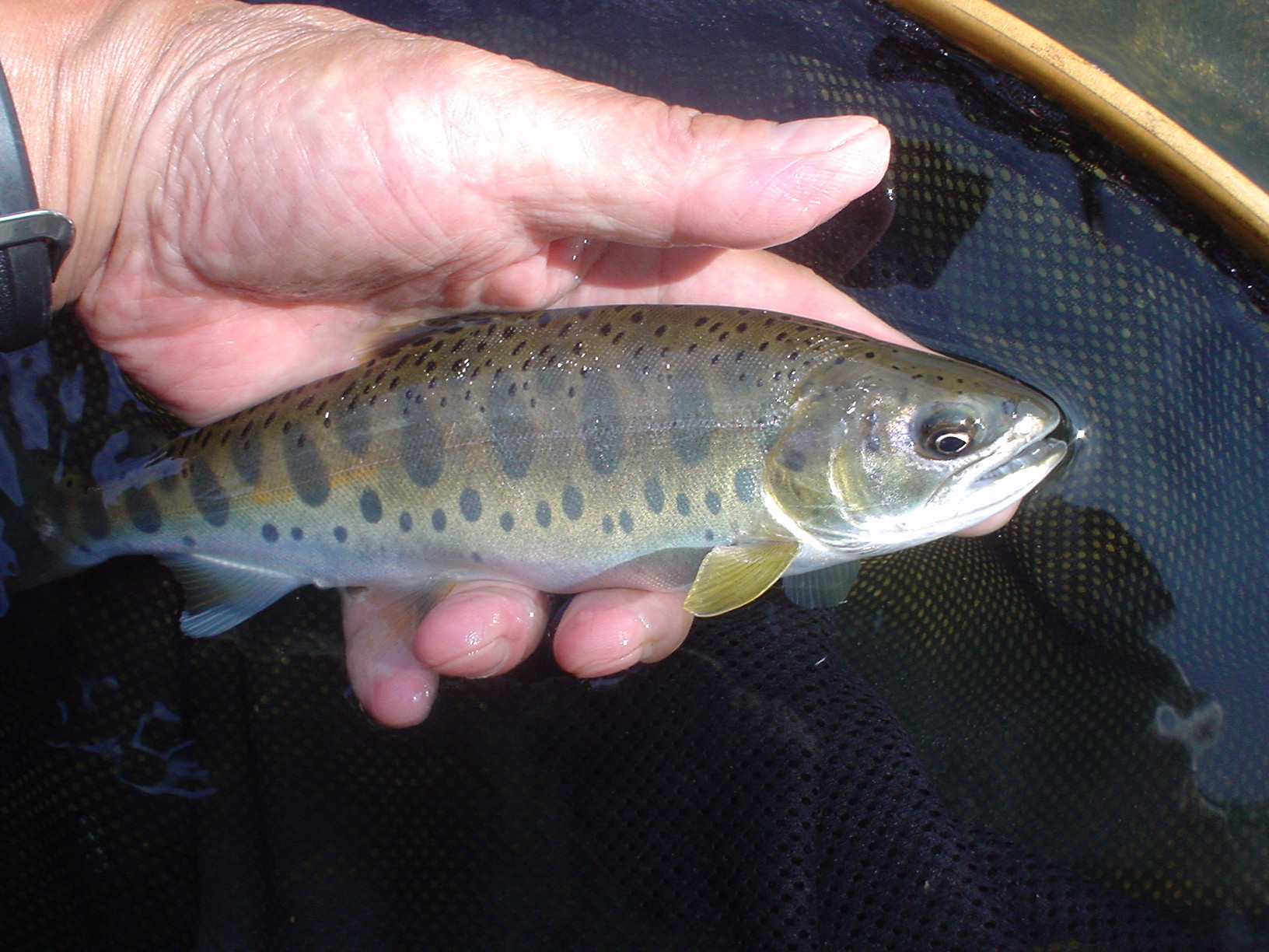 f0280717_10514679.jpg