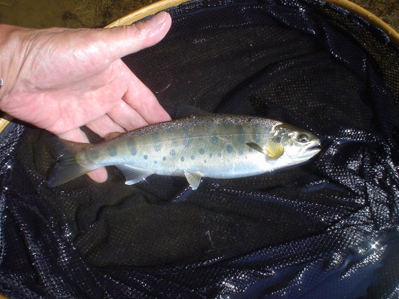 f0280717_10522729.jpg