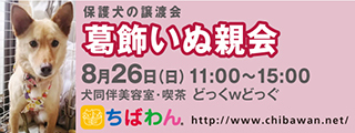 8/14引き出し編　レポート紹介　全　４１頭_f0078320_20201460.jpg