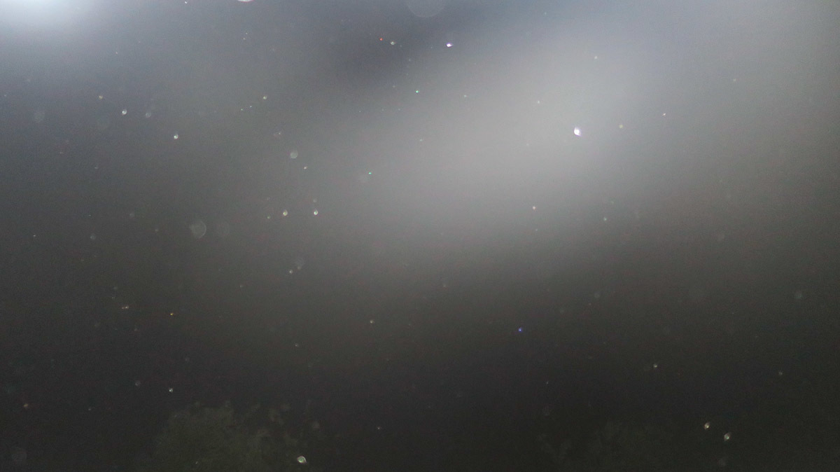 c0331825_19393396.jpg
