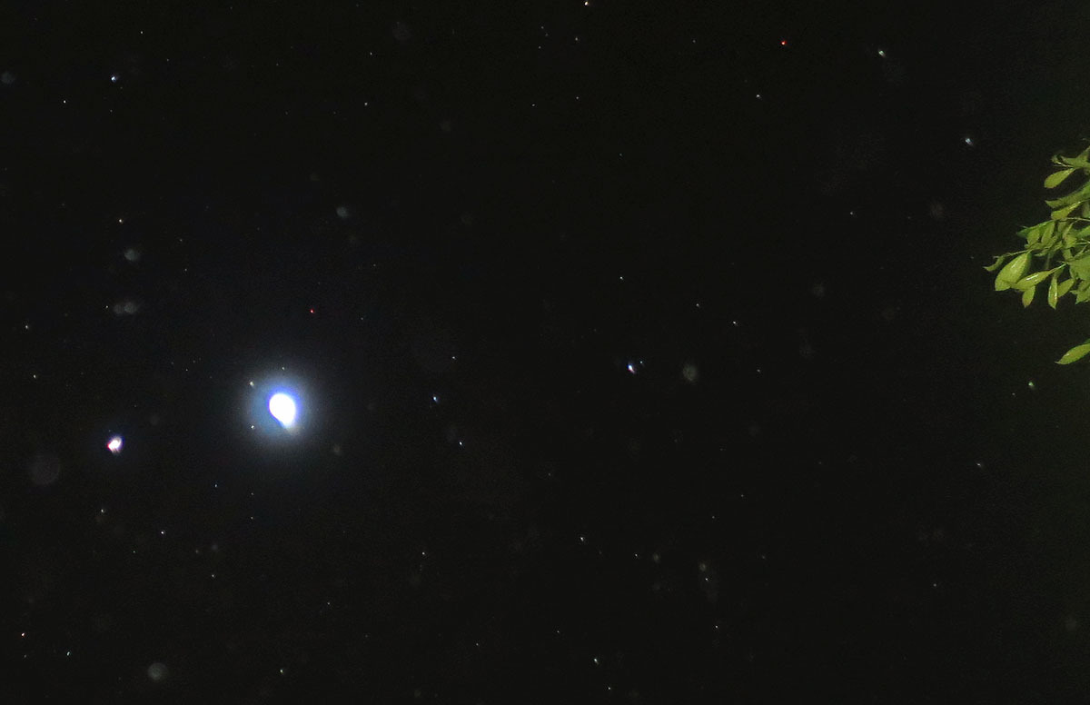 c0331825_19421082.jpg