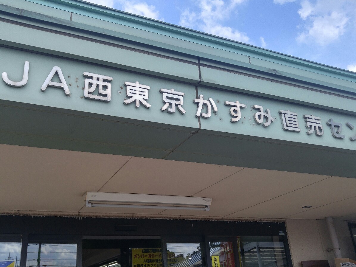 リンゴ梨_c0124528_16363841.jpg