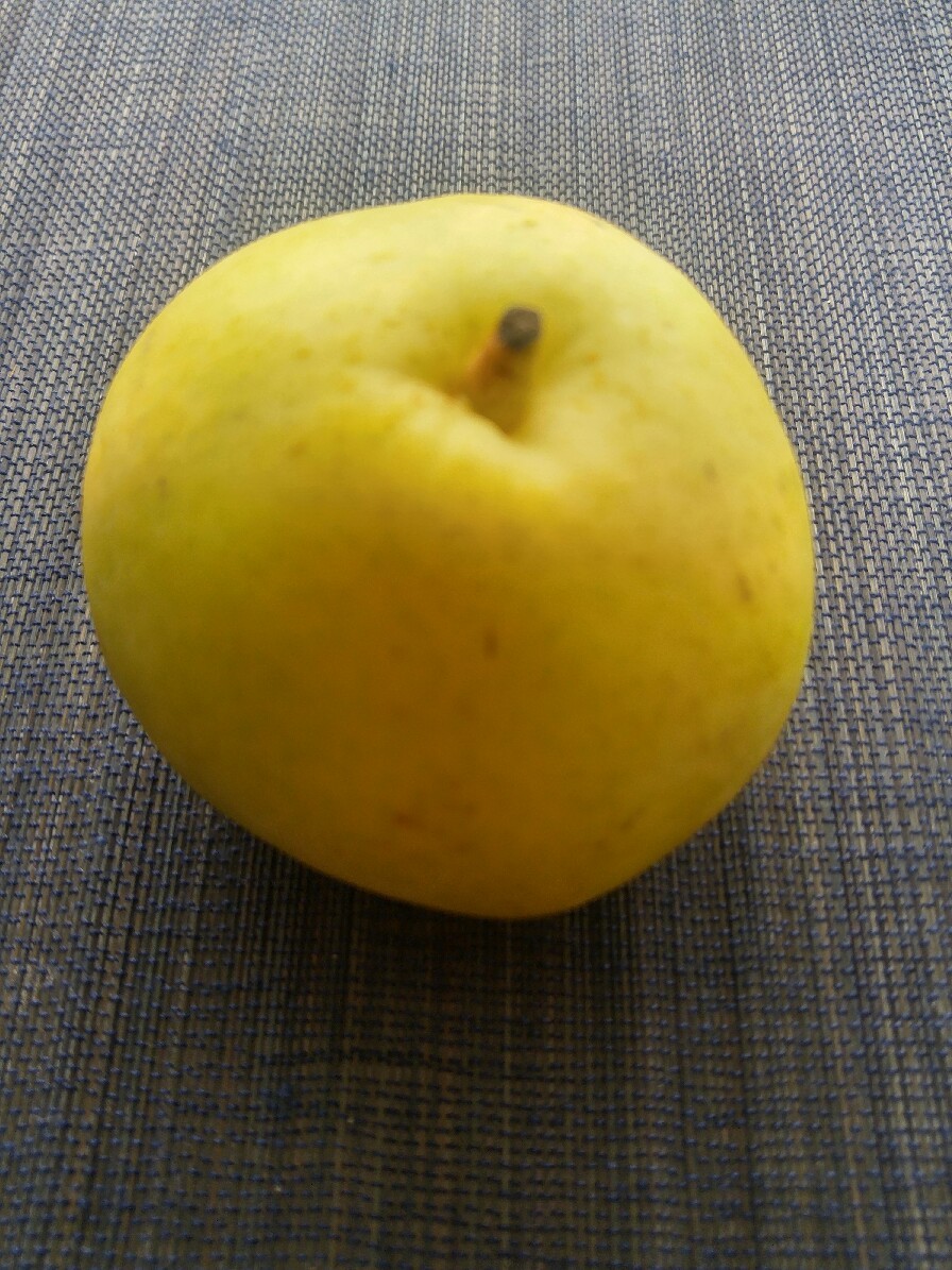 リンゴ梨_c0124528_16451695.jpg