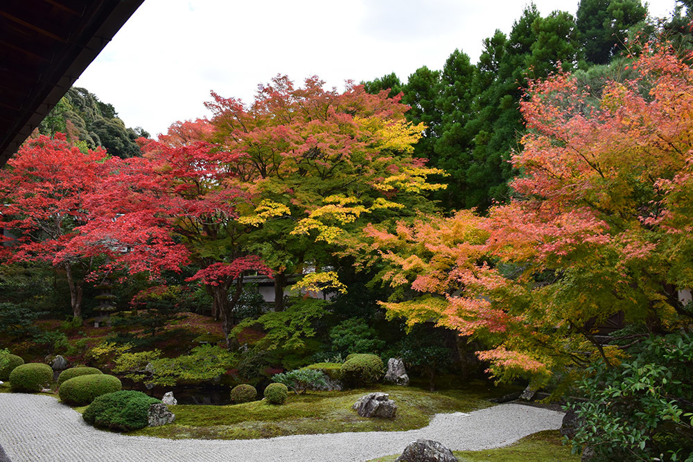 幕末京都逍遥 その114 「泉涌寺・孝明天皇陵(後月輪東山陵)」_e0158128_10501878.jpg