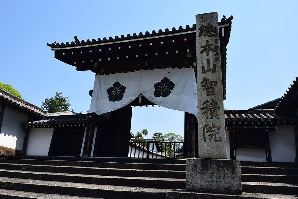 幕末京都逍遥 その116 「智積院(土佐藩本陣)」_e0158128_11492402.jpg