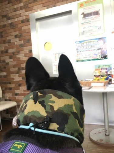 b0113232_23030573.jpeg