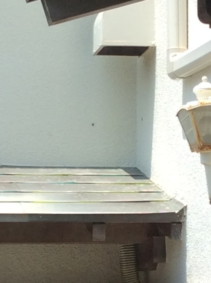d0269832_11444435.jpeg