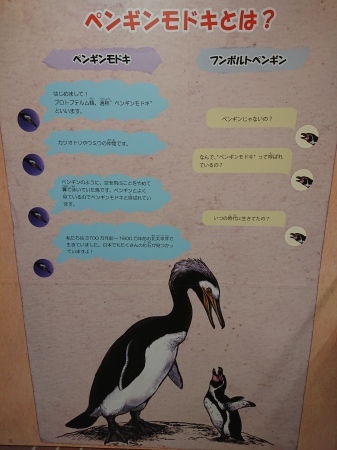 8月2日 長崎ペンギン水族館 夏の企画展 Exicteに帰ってきた鈴木ちゃんのブログ 8月2日 長崎ペンギン水族館 夏の企画展 Exicteに帰ってきた鈴木ちゃんのブログ