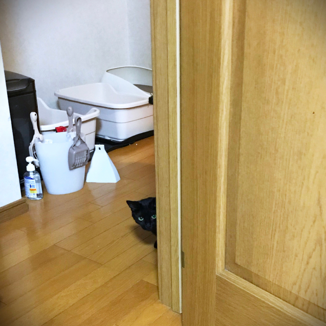 ごはんを食べたら_d0355333_21105226.jpg