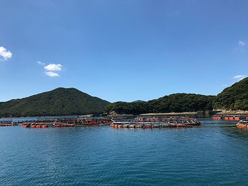 長崎＆五島列島2017／上五島1 キリシタン洞窟クルーズ_b0035734_17060647.jpg