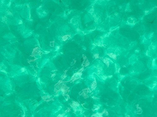 b0035734_17064854.jpg