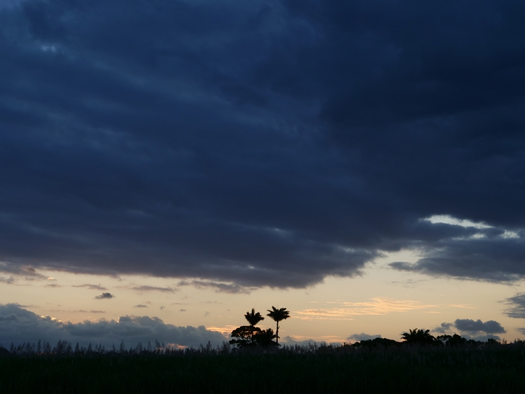 ３０年目のオーストラリア　Day16　クィーンズランドは雨季だった_f0050534_20302912.jpg