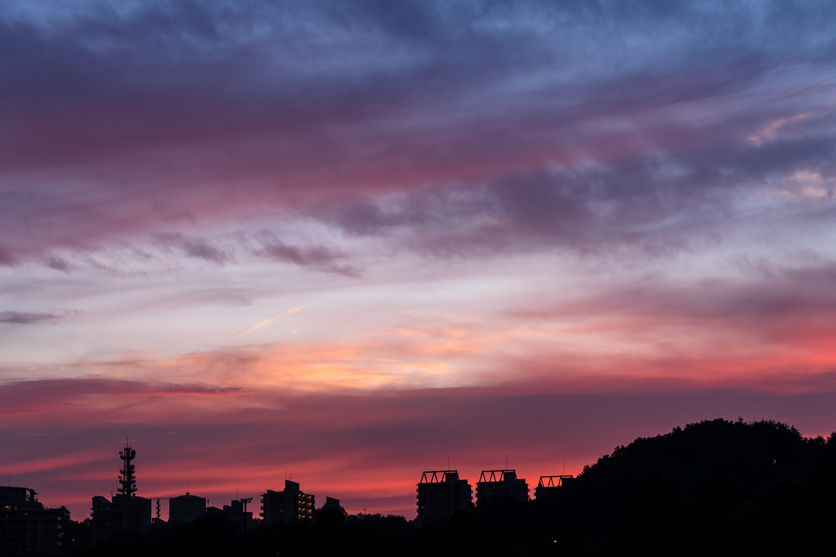 f0237034_23400614.jpg