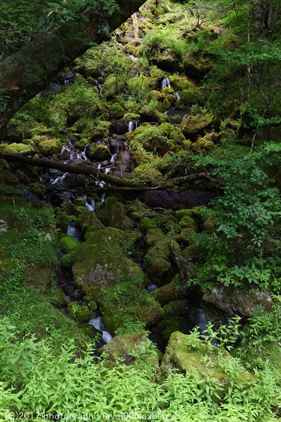 e0362037_14233719.jpg