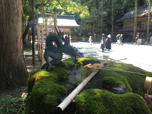 b0330040_21333722.jpeg