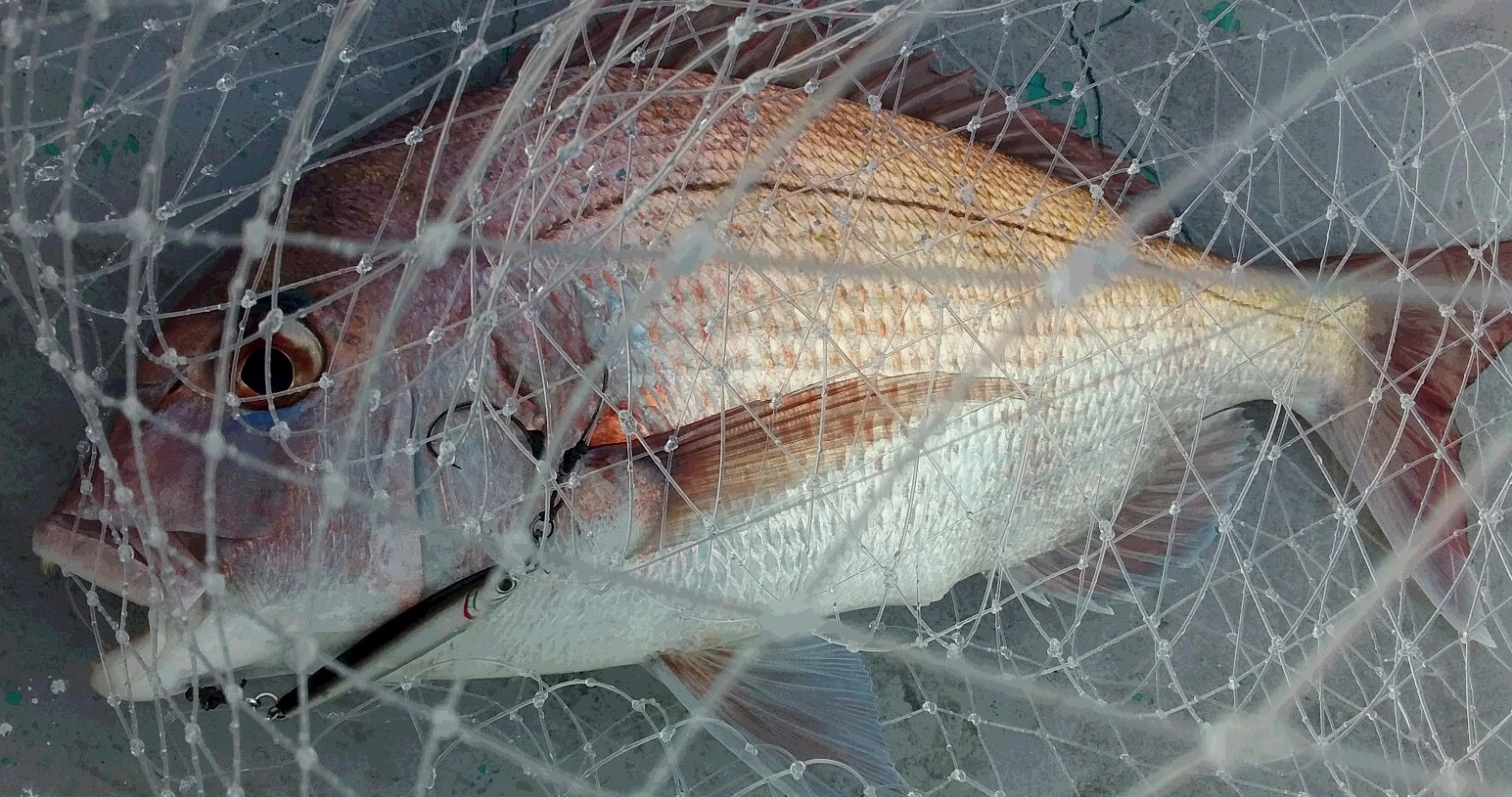 e0212944_65015.jpg