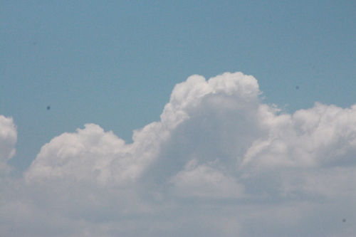 琵琶湖の夏雲 絵本だまり 琵琶湖の夏雲 絵本だまり