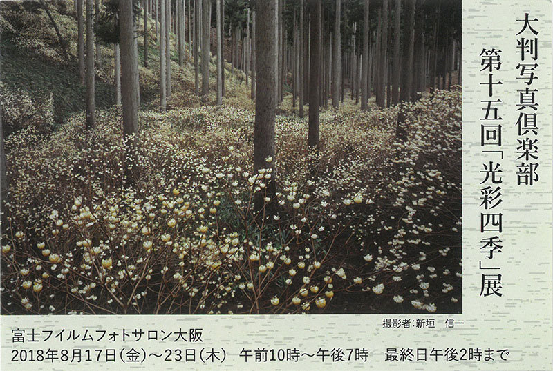 大判写真倶楽部 第十五回｢光彩四季｣展(大阪)_c0142549_12191381.jpg