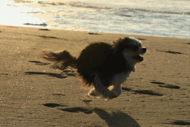 c0145250_09413716.gif