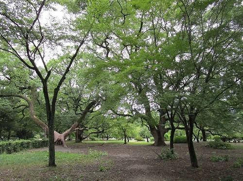 c0327752_15302453.jpg