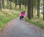 e0010856_07400066.jpg