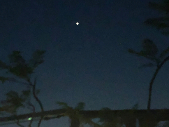 b0181457_00145653.jpg