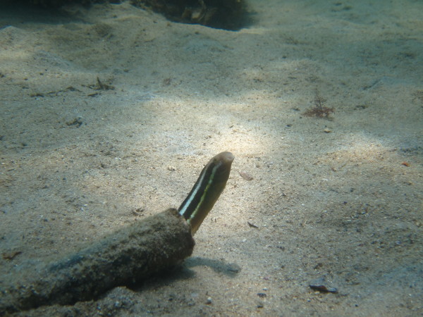 f0164662_15532032.jpg