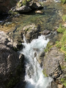f0370162_16501818.jpg