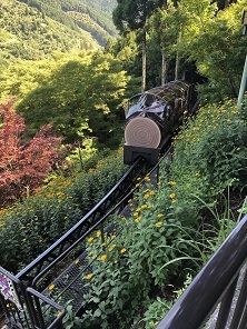 f0370162_16502900.jpg