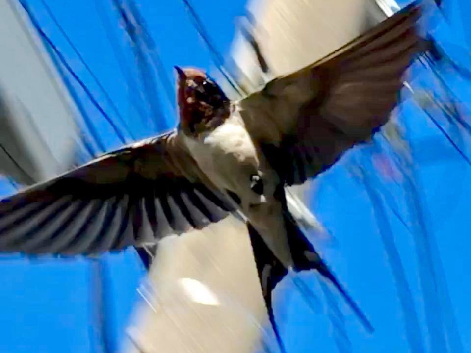 c0123363_16501137.jpg