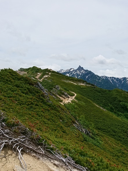 c0260463_16114027.jpg