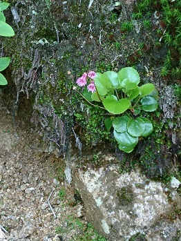 c0260463_16184353.jpg