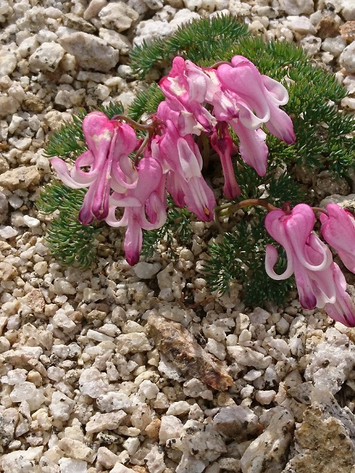 c0260463_16215488.jpg