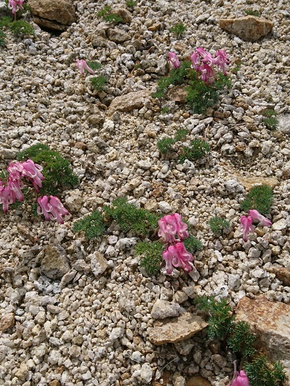 c0260463_16220547.jpg