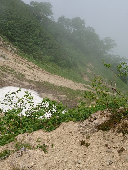 c0260463_16241864.jpg