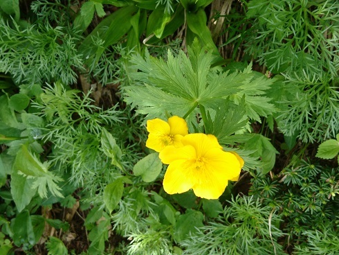 c0260463_16594160.jpg