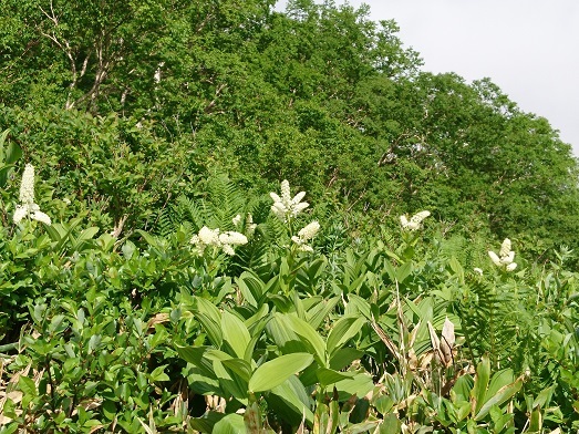 c0260463_16595253.jpg