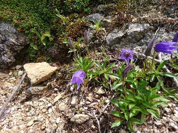 c0260463_17000506.jpg