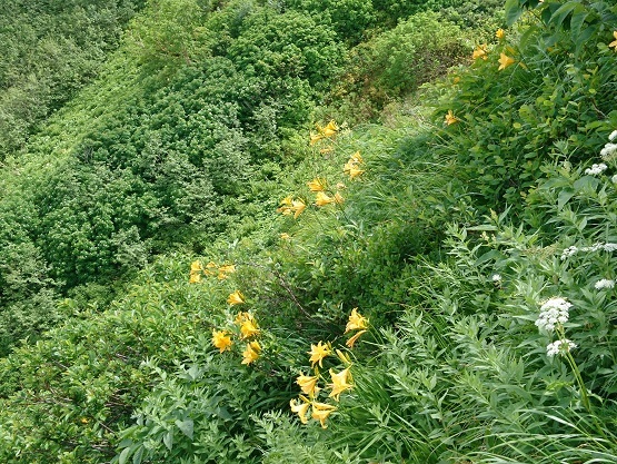c0260463_17001905.jpg
