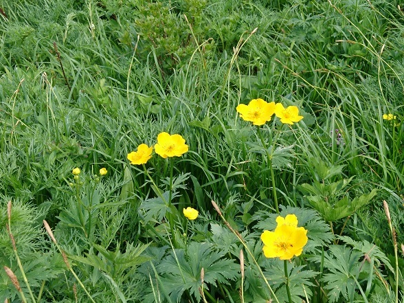 c0260463_17004377.jpg
