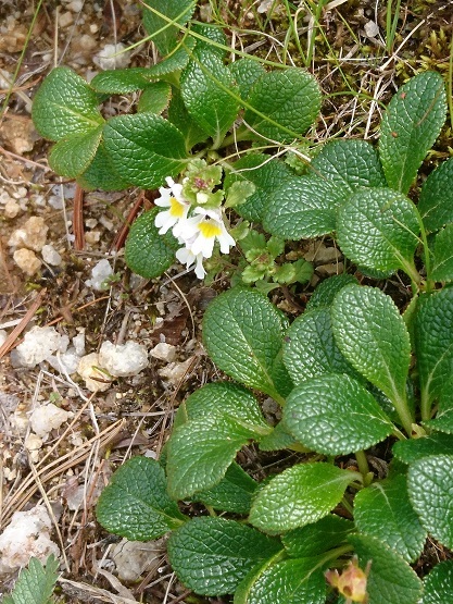 c0260463_17113391.jpg