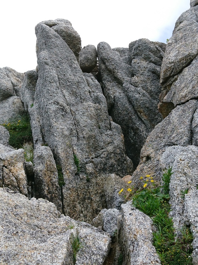 c0260463_17120653.jpg